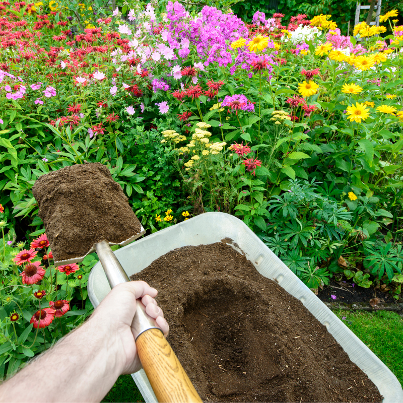 Topsoil or Compost? Deciphering the Best Choice for Your Garden