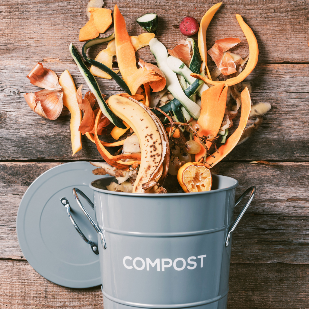 Innovative Composting Solutions: From Kitchen Waste to Garden Gold ...