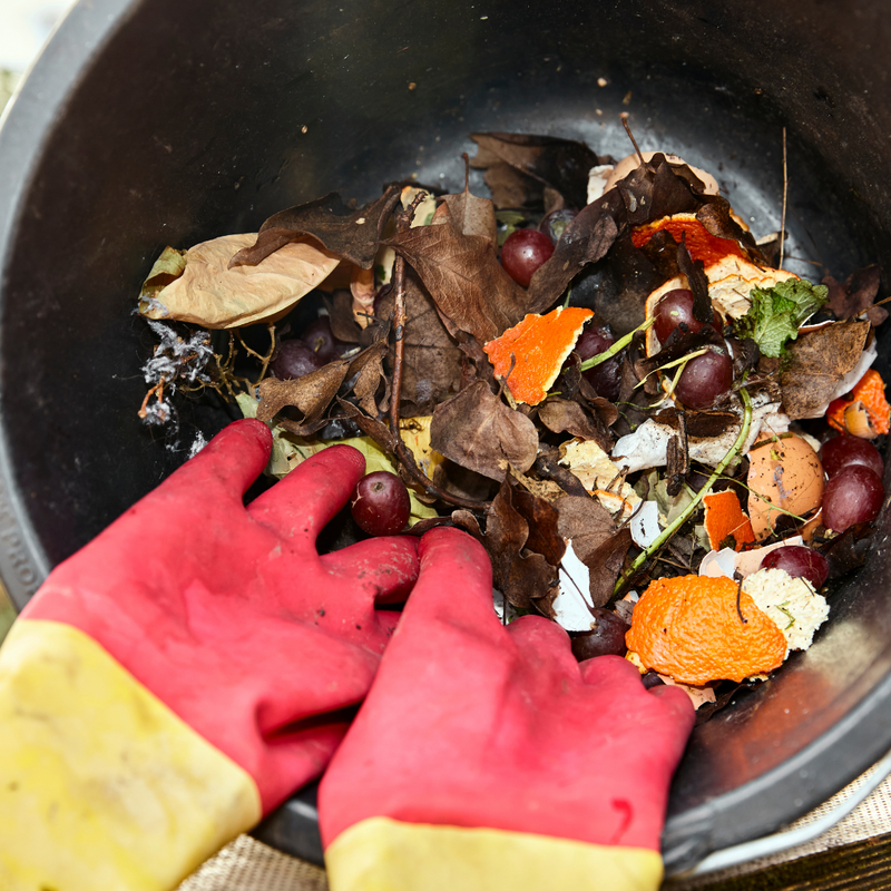 Avoiding Common Composting Pitfalls: How to Compost Without Attracting Pests